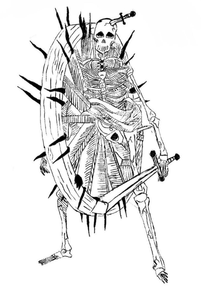 SPIN BONES